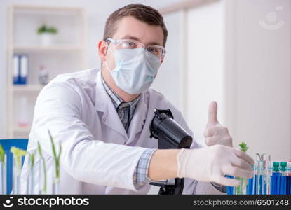 Male biochemist working in the lab on plants