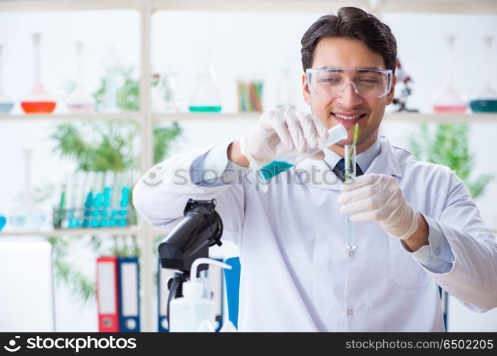 Male biochemist working in the lab on plants