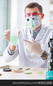 Male biochemist working in the lab on plants