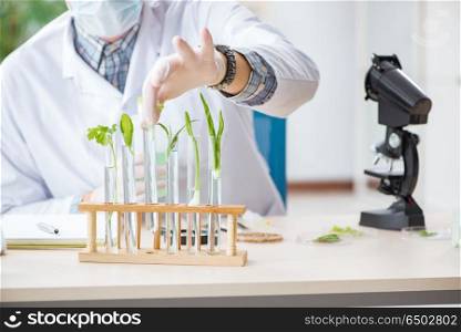 Male biochemist working in the lab on plants