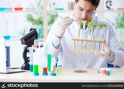 Male biochemist working in the lab on plants