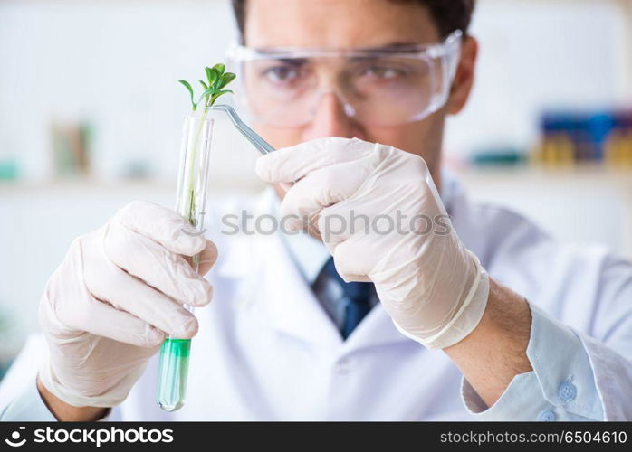 Male biochemist working in the lab on plants