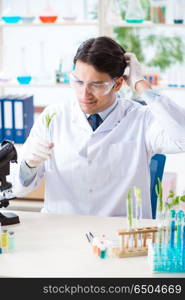 Male biochemist working in the lab on plants