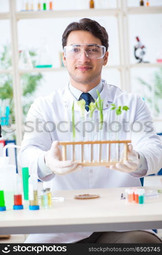 Male biochemist working in the lab on plants