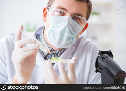 Male biochemist working in the lab on plants