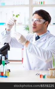 Male biochemist working in the lab on plants