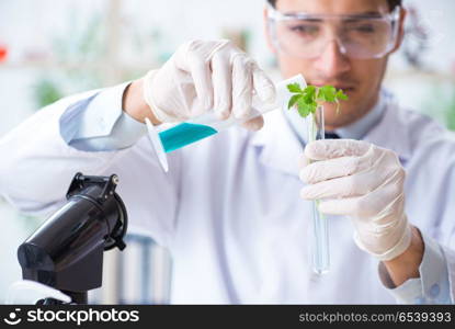 Male biochemist working in the lab on plants