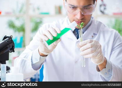 Male biochemist working in the lab on plants