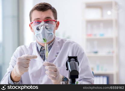 Male biochemist working in the lab on plants