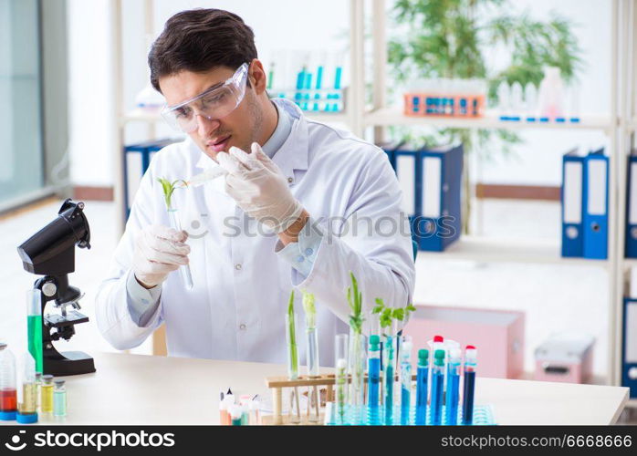 Male biochemist working in the lab on plants