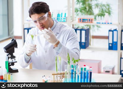 Male biochemist working in the lab on plants