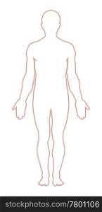 Male body outline. Vector illustration. Man body outline