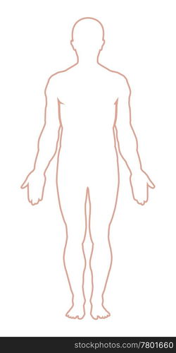 Male body outline. Vector illustration. Man body outline — Stockphotos.com