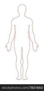 Male body outline. Vector illustration. Man body outline