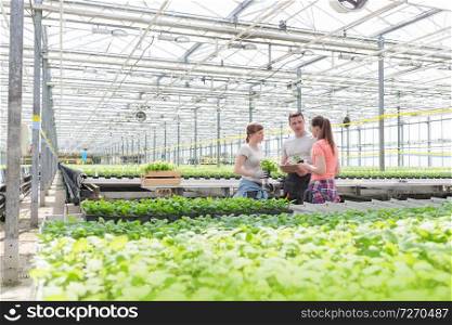 Male botanists discussing with female coworkers while standing amidst seedlings in greenhouse