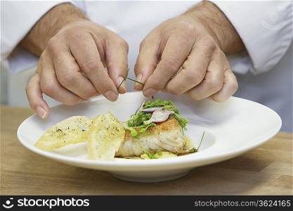 Male chef garnishing food, close-up