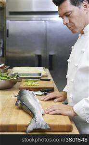Male chef observing salmon in kitchen