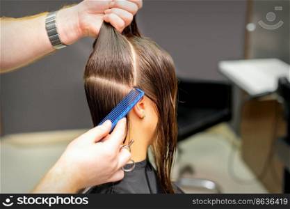 Male coiffeur divides women hair into sections with comb and hands in a beauty salon. Male coiffeur divides women hair into sections with comb and hands in a beauty salon.