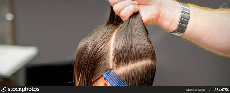 Male coiffeur divides women hair into sections with comb and hands in a beauty salon. Male coiffeur divides women hair into sections with comb and hands in a beauty salon.