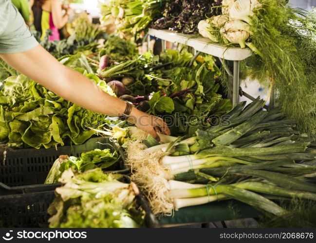 male consumer s hand choosing green fresh vegetable market stall