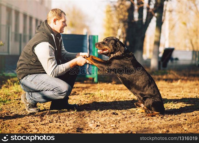 Male cynologist, police dog training outdoor. Owner with his obedient pet outside, bloodhound domestic animal