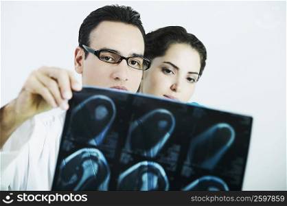 Male doctor and a female doctor examining an X-Ray