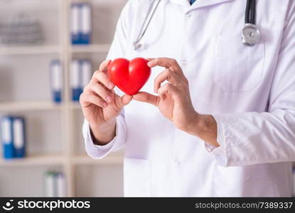 Male doctor cardiologist holding heart model 