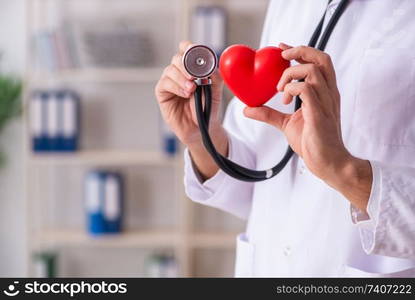 Male doctor cardiologist holding heart model 