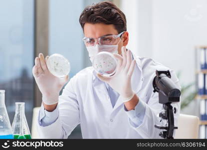 Male doctor working in the lab on virus vaccine