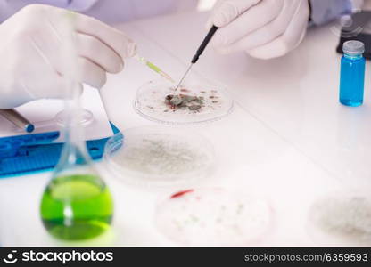 Male doctor working in the lab on virus vaccine