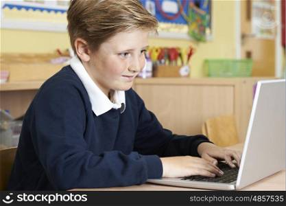 Male Elementary School Pupil Using Laptop In Computer Class