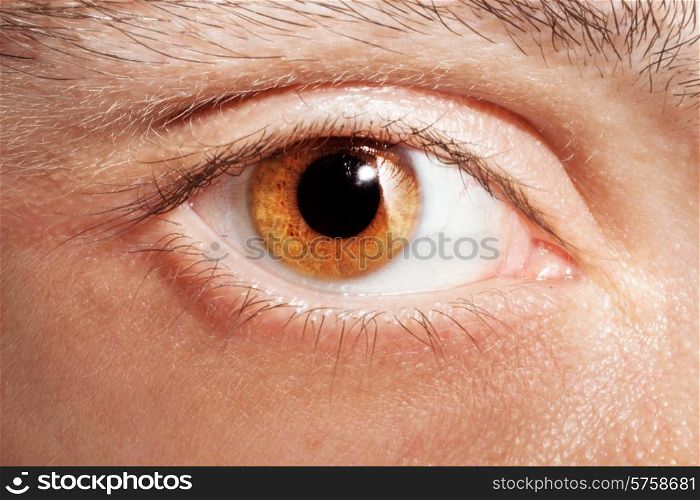 Male eye color of honey close up