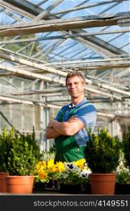 Male florist or gardener in flower shop or nursery greenhouse