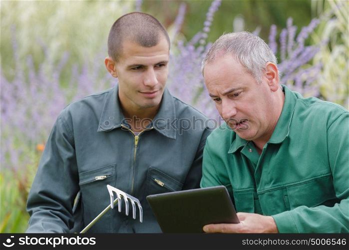 male gardener checking the tablet