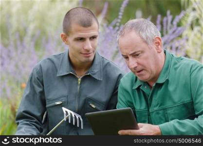 male gardener checking the tablet