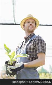 Male gardener looking away while holding potted plant at greenhouse