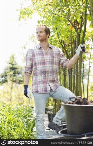 Male gardener looking away while standing at plant nursery