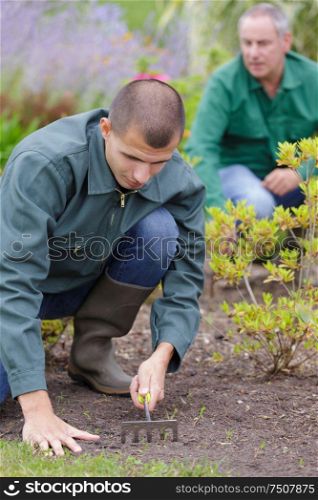 male gardeners using a rake in garden