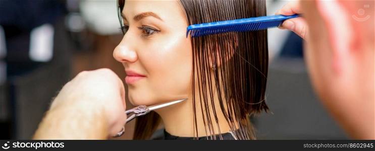 Male hairdresser cuts wet hair of young caucasian woman combing with a comb in a hair salon. Hairdresser cuts wet hair of woman