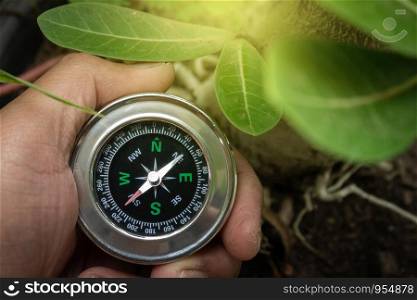 Male hand holding compass in the forest.