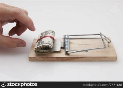 Male hand taking rolled up dollar bills from mousetrap