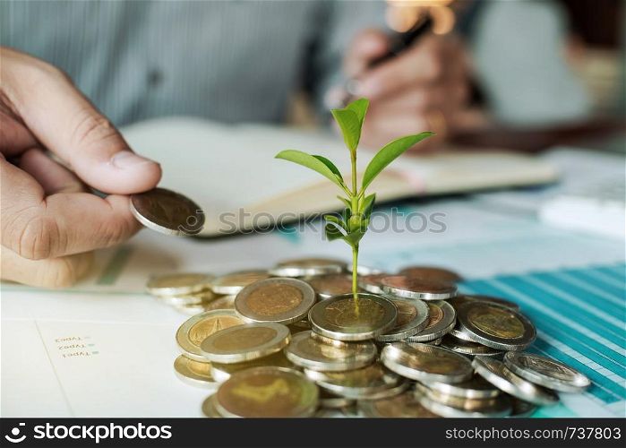 male hands with coin and plant in business workplace, wealth plan concept.