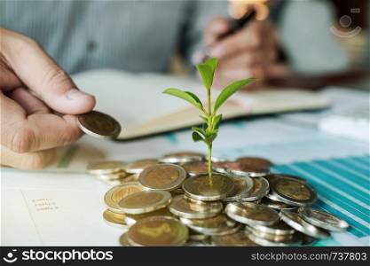 male hands with coin and plant in business workplace, wealth plan concept.