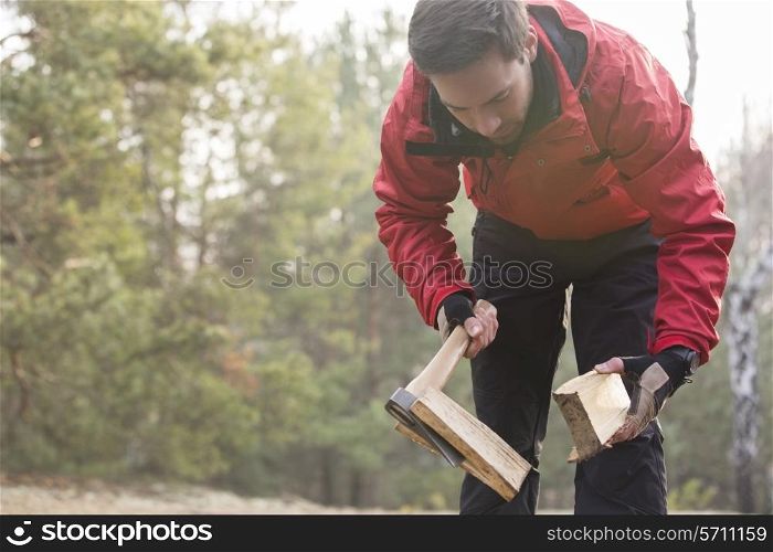 Male hiker cutting firewood in forest