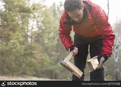 Male hiker cutting firewood in forest