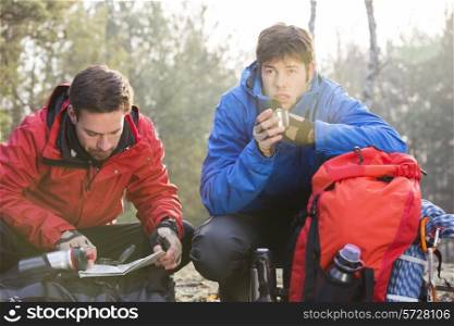 Male hiker reading map while friend having coffee in forest