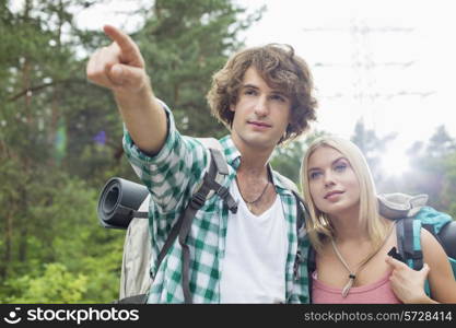 Male hiker showing something to woman in forest