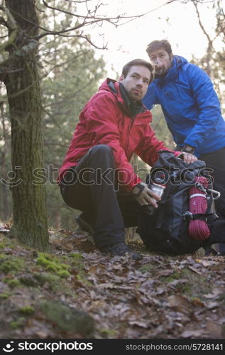 Male hikers looking away in forest