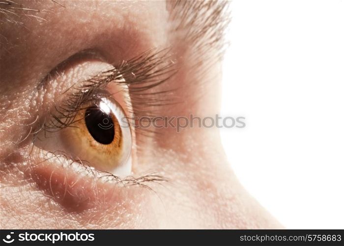 Male honey-colored eye isolated on a white background