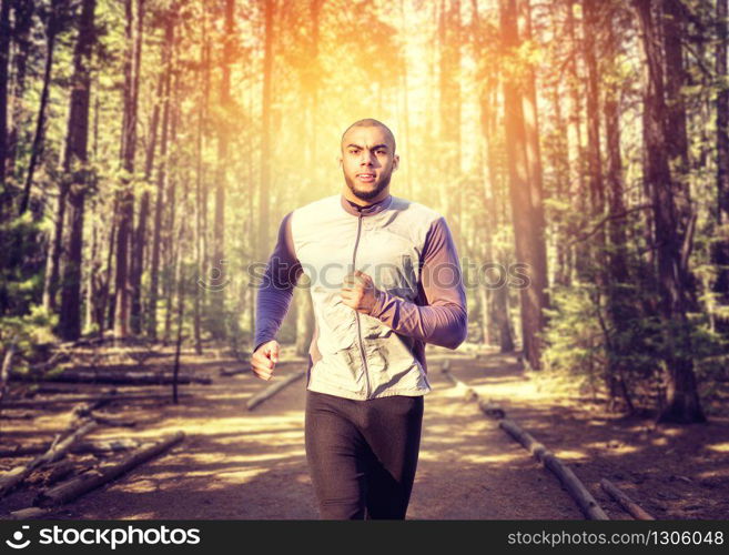 Male jogger on morning workout in the forest. Runner in sportswear on training outdoor. Jogging or running